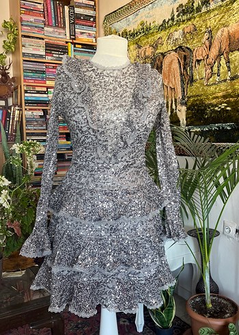 Uzun Kollu Gri Fırfırlı pullu Elbise - Görsel 4