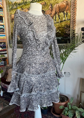 Uzun Kollu Gri Fırfırlı pullu Elbise - Görsel 3