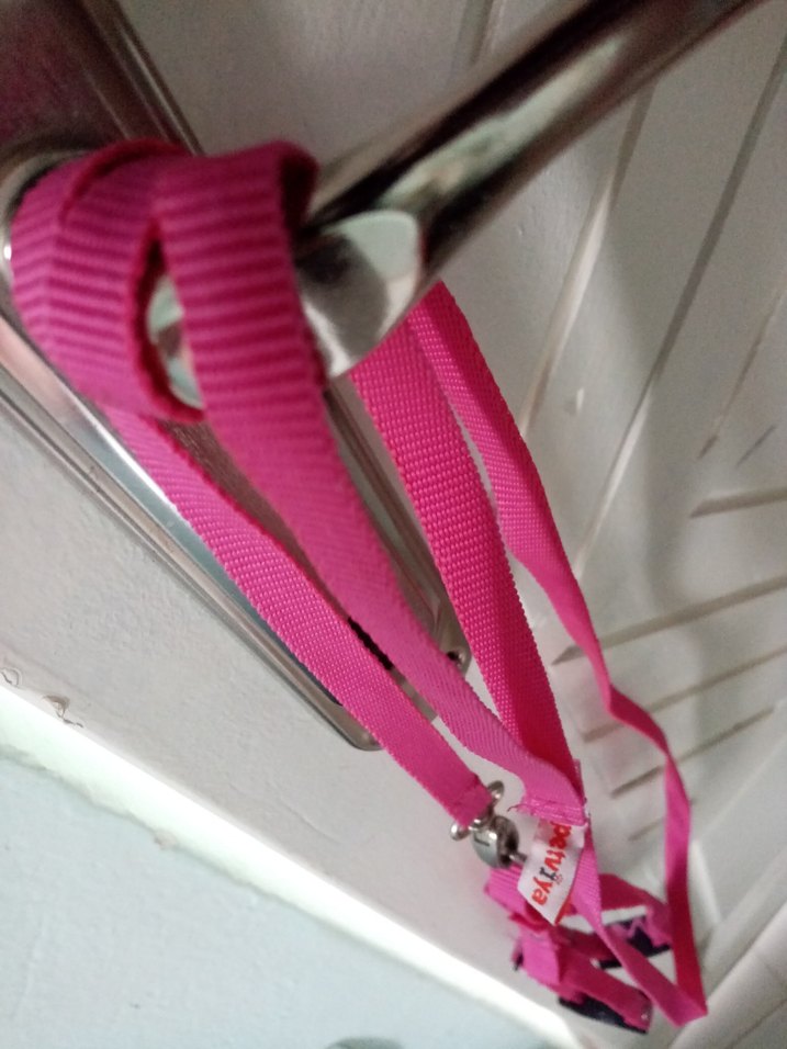 Kedi-Küçük Köpek Tasması - Görsel 3