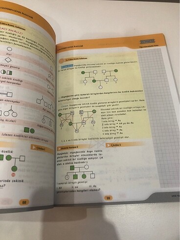 Beden Renk ens biyoloji defter kitap 10. sinif