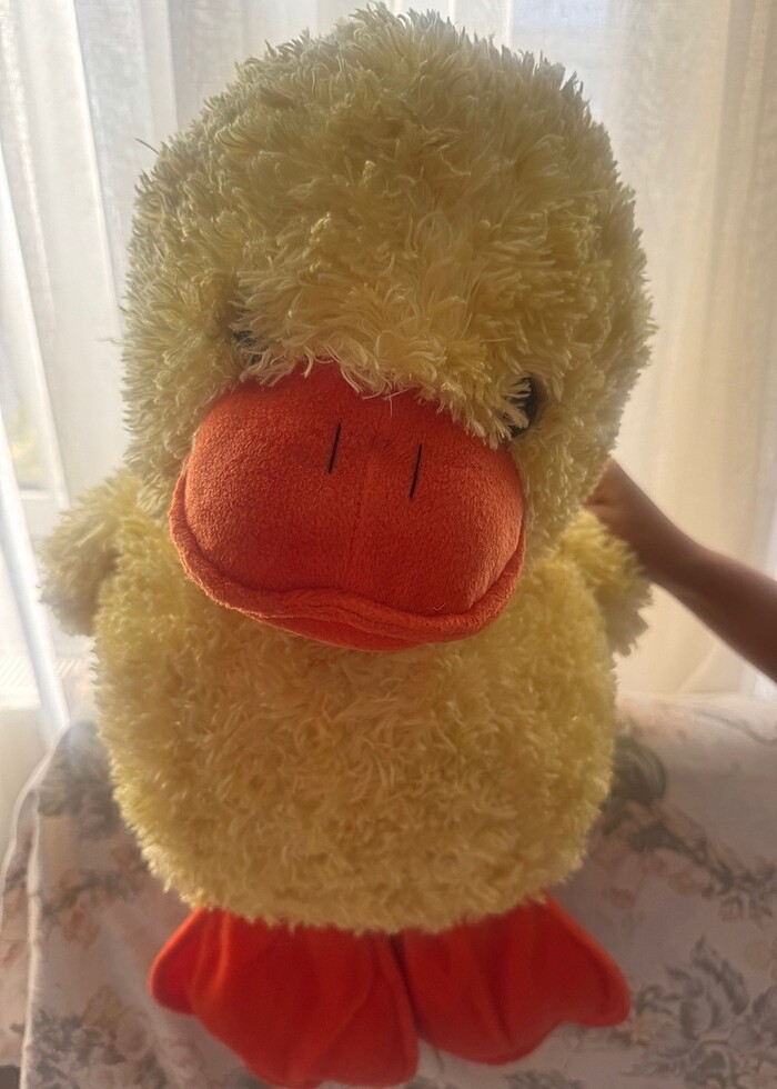 Oyuncak Pofuduk Ördek - Görsel 2