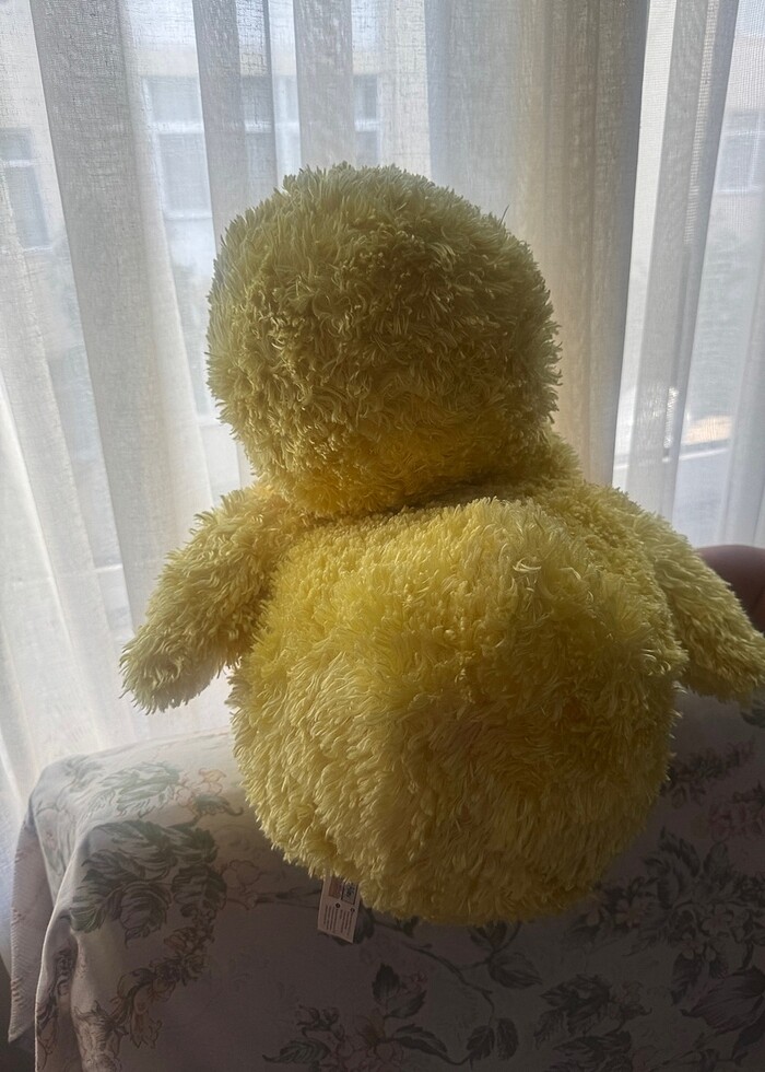 Oyuncak Pofuduk Ördek - Görsel 5