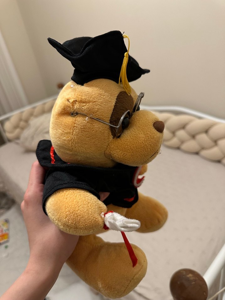 Mezuniyet Kepiyle Kahverengi Peluş Oyuncak - Görsel 2