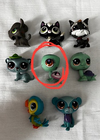 Lps minişler kaplumbaga
