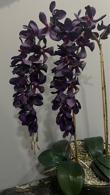 Diğer Yapay orkide mor