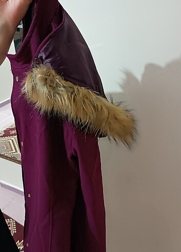 Diğer Montt