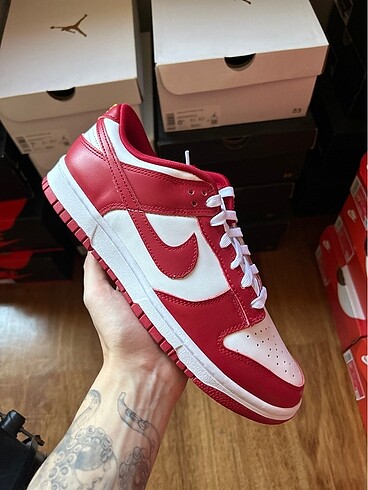 USC Gym Red Nike Dunk Low (43)