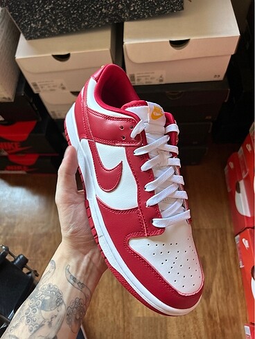 Nike USC Gym Red Nike Dunk Low (44)