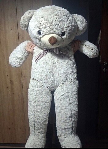 pelus ayi 