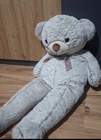 Diğer pelus ayi 