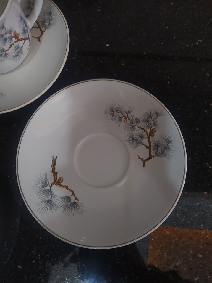 Çiçek Desenli Beyaz Kahve Fincanı Takımı - Görsel 3