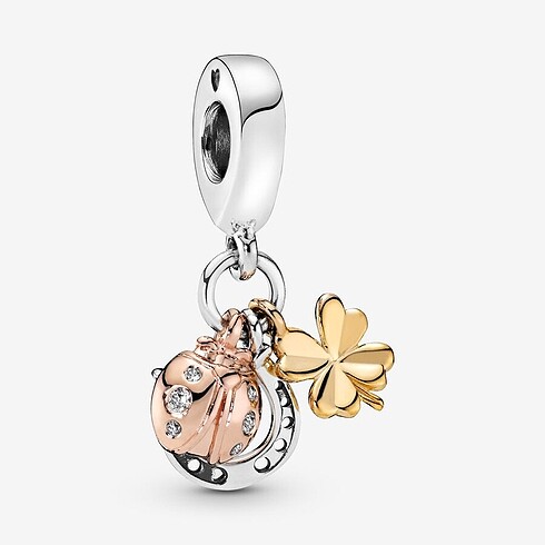 İyi şanslar sallantılı Charm