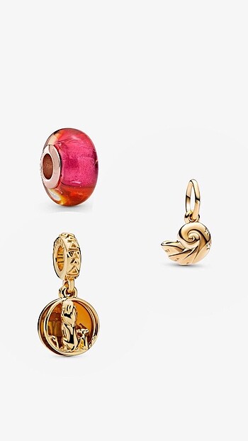 3 adet Charm