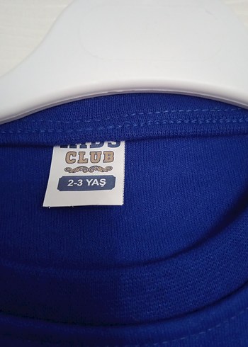 Erkek Çocuk Spider-Man Baskılı Mavi Sweatshirt - Görsel 2