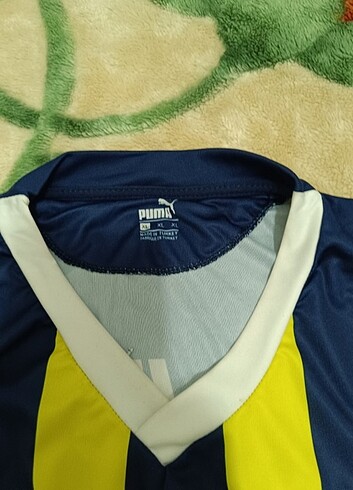Forma Fenerbahçe 
