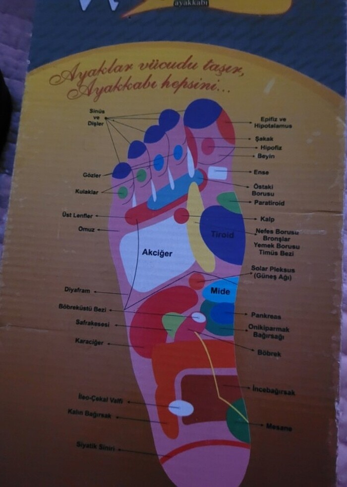 Kadın ayakkabı  - Görsel 2