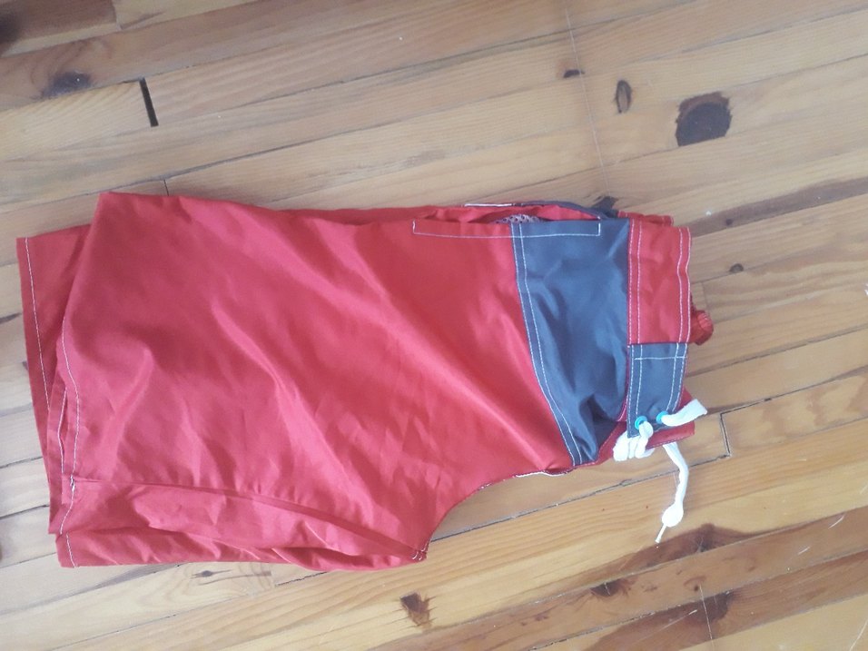 Kırmızı Baskılı Erkek Deniz Şortu - Görsel 2