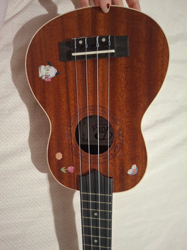 Puka Pk100 Ukulele - Görsel 2