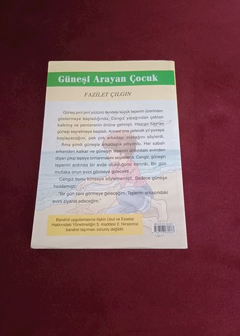 Güneşi Arayan Çocuk - Fazilet Çılgın