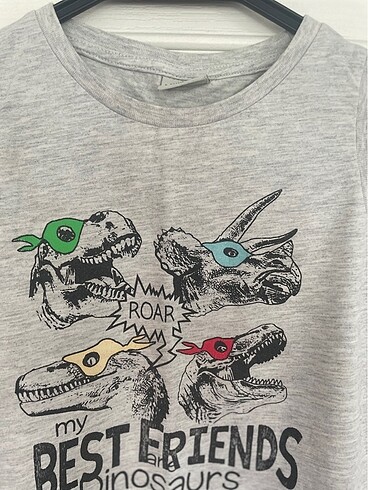 6 Yaş Beden gri Renk LC Waikiki çocuk tshirt