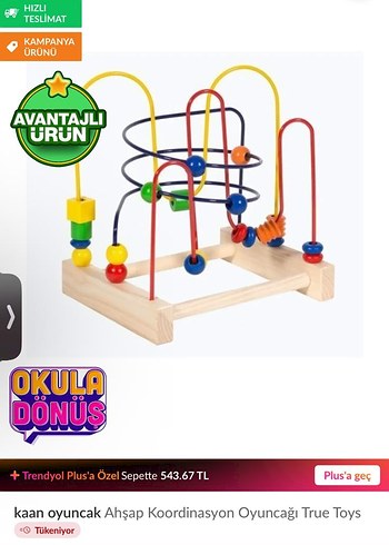 Beden Renk Ahşap Renkli Eğitici Oyuncak