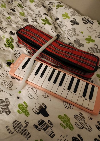 Pembe Melodika ve Kılıfı