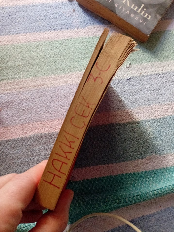 The Progressive English Dictionary - İkinci Baskı - Görsel 3