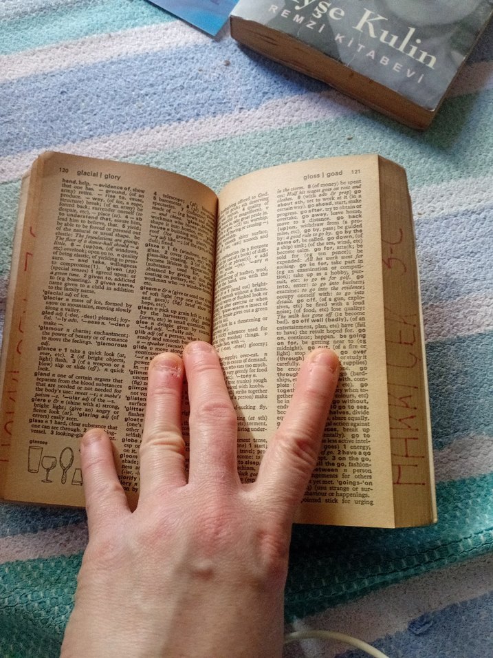 The Progressive English Dictionary - İkinci Baskı - Görsel 5