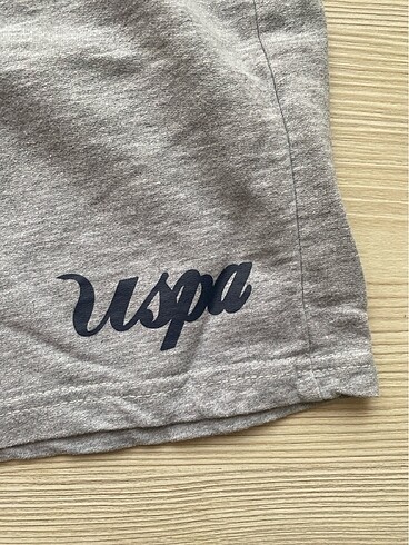 U.S Polo Assn. Uspa şort
