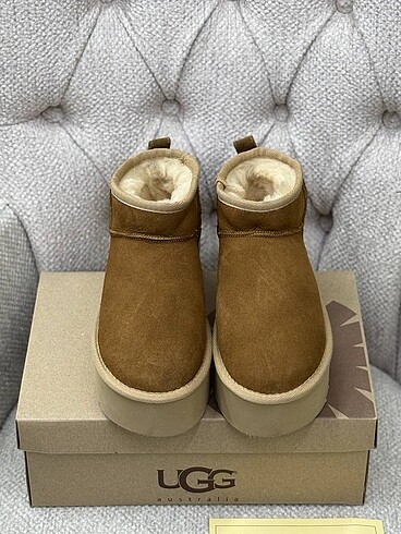 Ugg bot