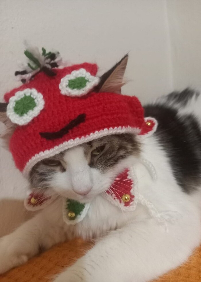 Evcil hayvan için yılbaşı konsepti boyunluk ve sapka - Görsel 2