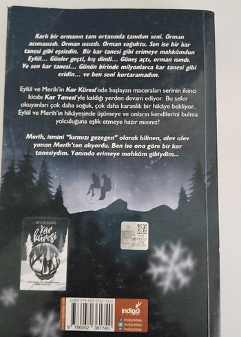 Kar Tanesi - Beyza Alkoç - Görsel 2