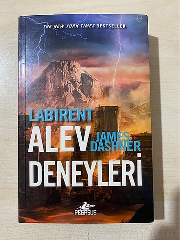 Labirent: Alev Deneyleri