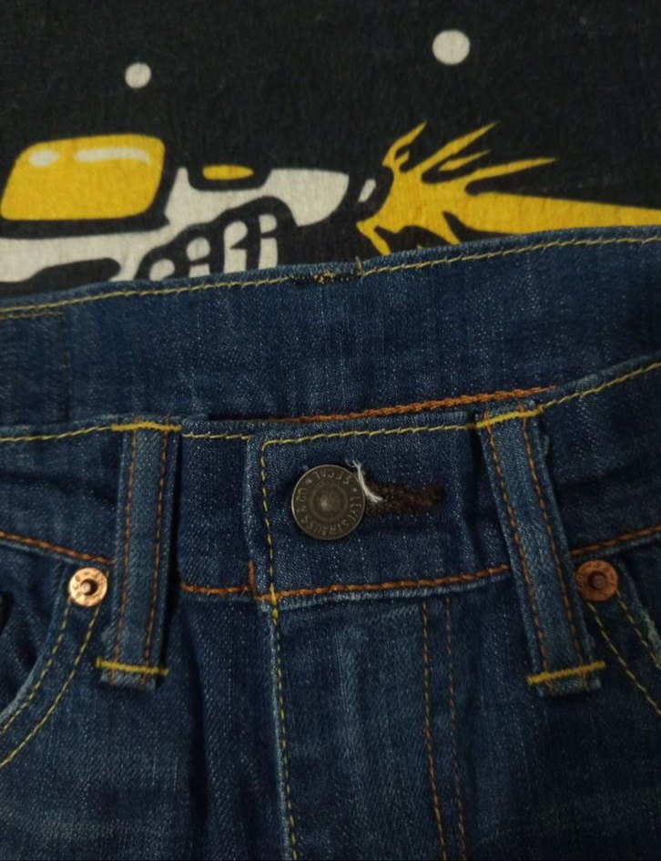 American Levi's Pant Carhartt Dickies — görsel 7/7