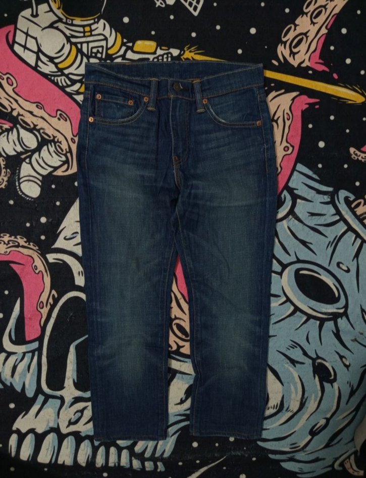 American Levi's Pant Carhartt Dickies — görsel 2/7