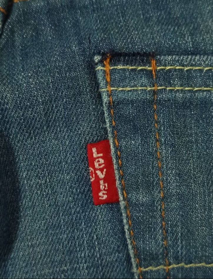 American Levi's Pant Carhartt Dickies — görsel 6/7