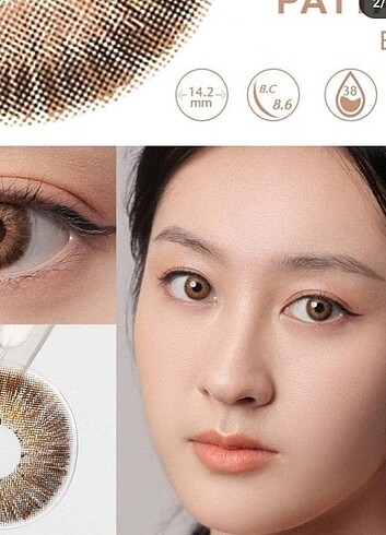 Pattaya Brown Lens 