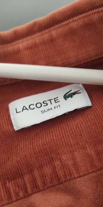 xl Beden LACOSTE kışlık gömlek 