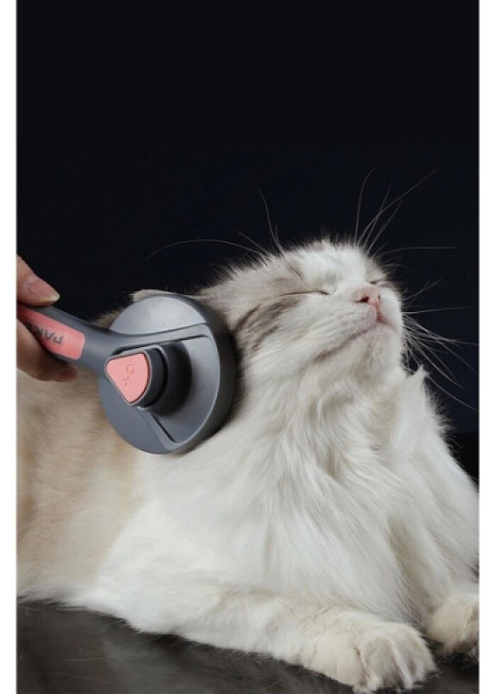 Otomatik Tuşlu Kendini Temizleyen Kedi Köpek Tarağı - Görsel 2