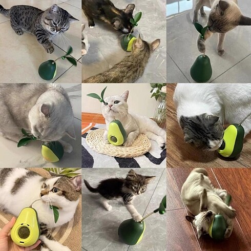 Avokado Şeklinde Kedi Naneli Ve Mama Hazneli Kedi Oyuncağı - Görsel 4