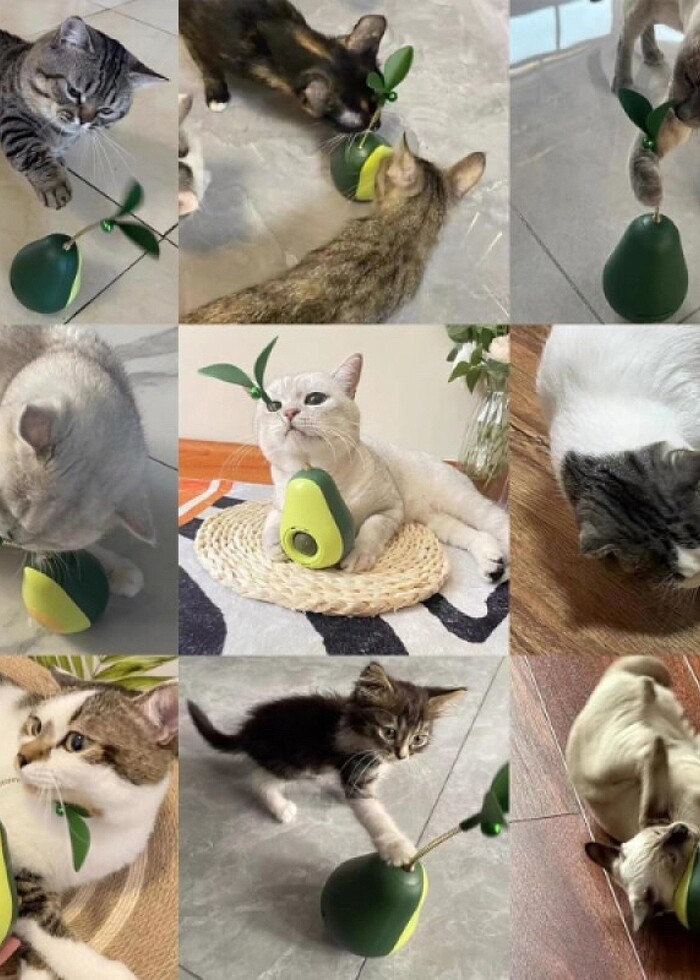 Avokado Şeklinde Kedi Naneli Ve Mama Hazneli Kedi Oyuncağı - Görsel 4