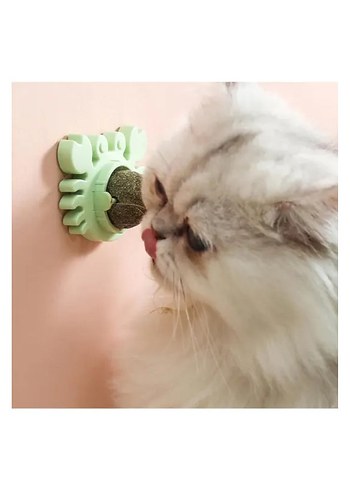 Yengeç Kedi Otu Oyun Topu - Görsel 3