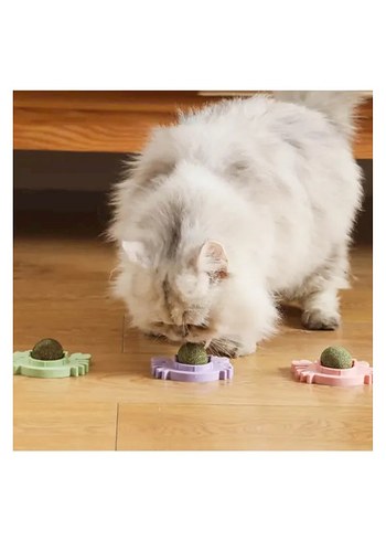 Yengeç Kedi Otu Oyun Topu - Görsel 6