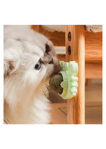 Yengeç Kedi Otu Oyun Topu - Görsel 5