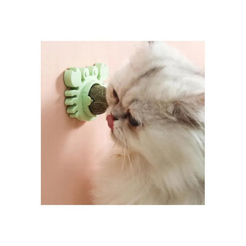 Yengeç Kedi Otu Oyun Topu - Görsel 3