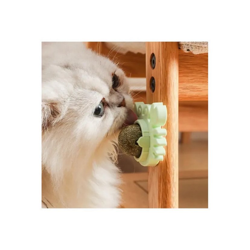 Yengeç Kedi Otu Oyun Topu - Görsel 5