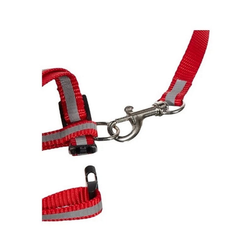 Reflektörlü Kedi Gezdirme Tasması - Görsel 2