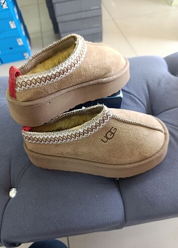 Ugg Ugg tazz slipper vizon terlik 