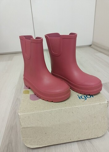 İgor bot