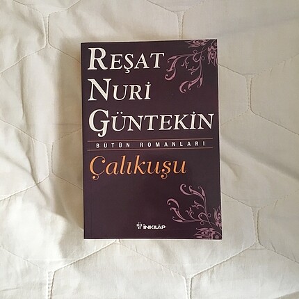 çalıkuşu roman